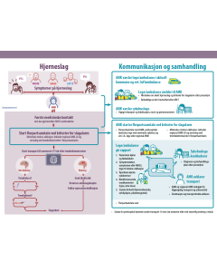 Kommunikasjon og samhandling Hjerneslag