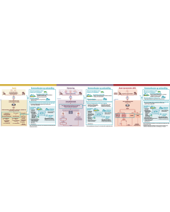 Sjekkliste kommunikasjon og samhandling samlet