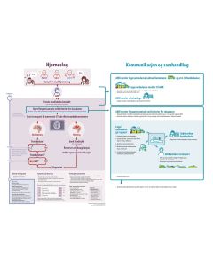Poster flerpartsamtale Hjerneslag