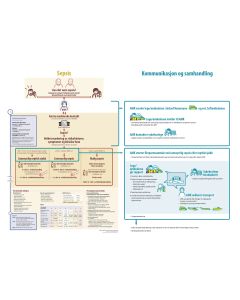 Poster flerpartsamtale Sepsis